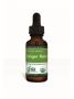 Gaia Herbs, GINGER ROOT 16 FL OZ