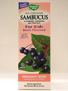 Nature's Way, SAMBUCUS FOR KIDS BERRY FLAVORED 8 OZ