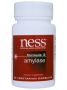 Ness Enzymes, AMYLASE #3 90 VEGCAPS