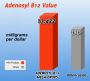 Holystic Health, ADENOSYL B12 MEGA DROPS™ 15 mL (.5 fl.oz)