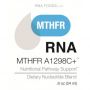 Holystic Health, MTHFR A1298C + (MSF RNA) .8 oz (24ml)