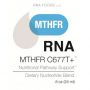 Holystic Health, MTHFR C677T + (MSF RNA) .8 oz (24ml)